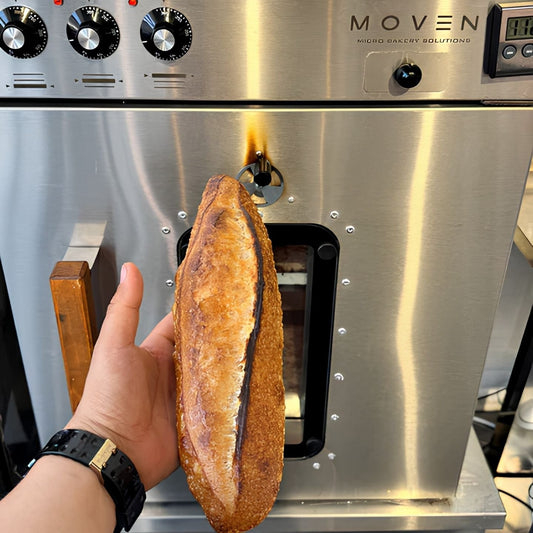 Evde Ekşi Maya Ekmek Üretimi: Tutkuyu Kazanca Dönüştüren Yeni Nesil Micro Bakery Modeli